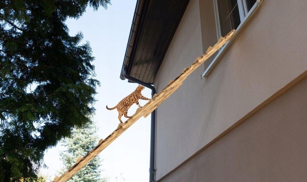 DRABINA SCHODY DLA KOTA WYCHODZĄCEGO DREWNO 6M