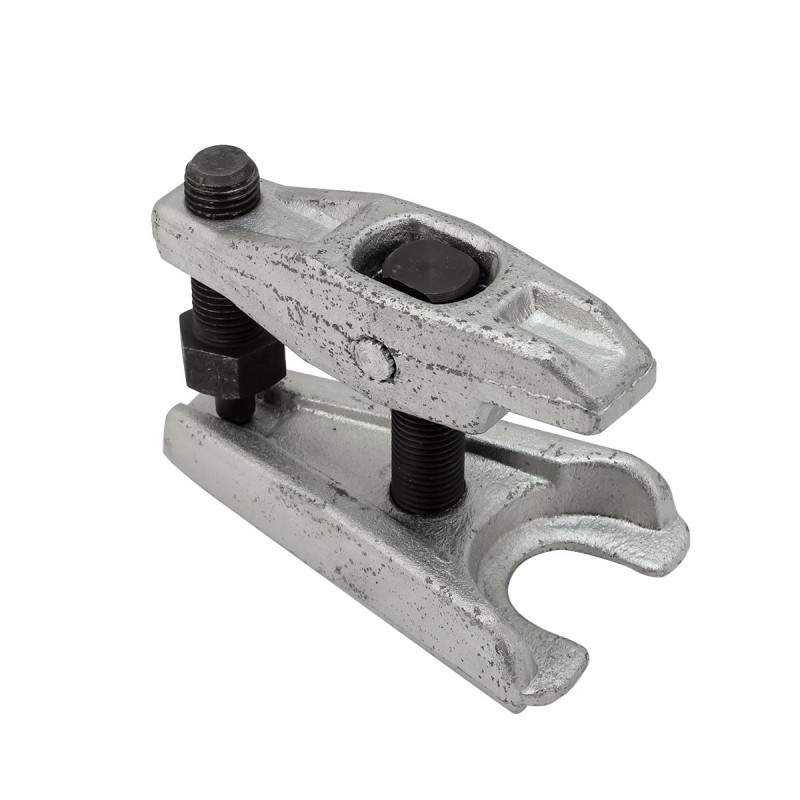 Sťahovák - obrázok 3