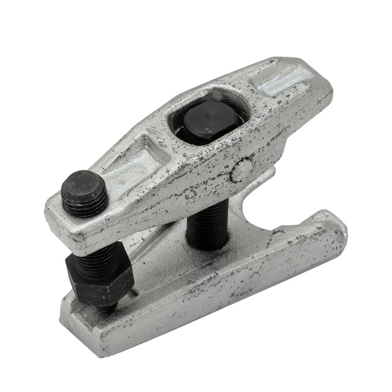 Sťahovák - obrázok 2