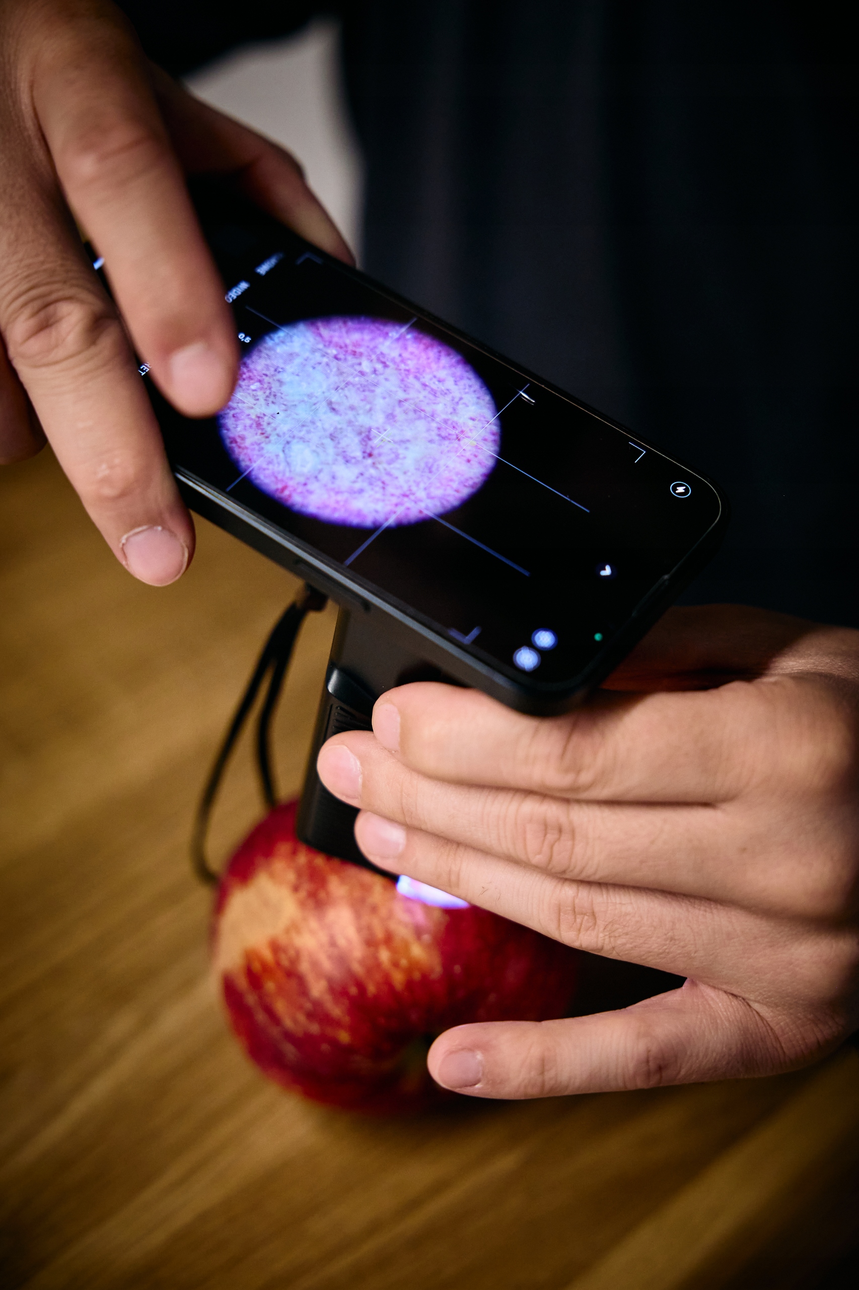 Zastosowania mikroskopu Warmener w terenie i edukacji