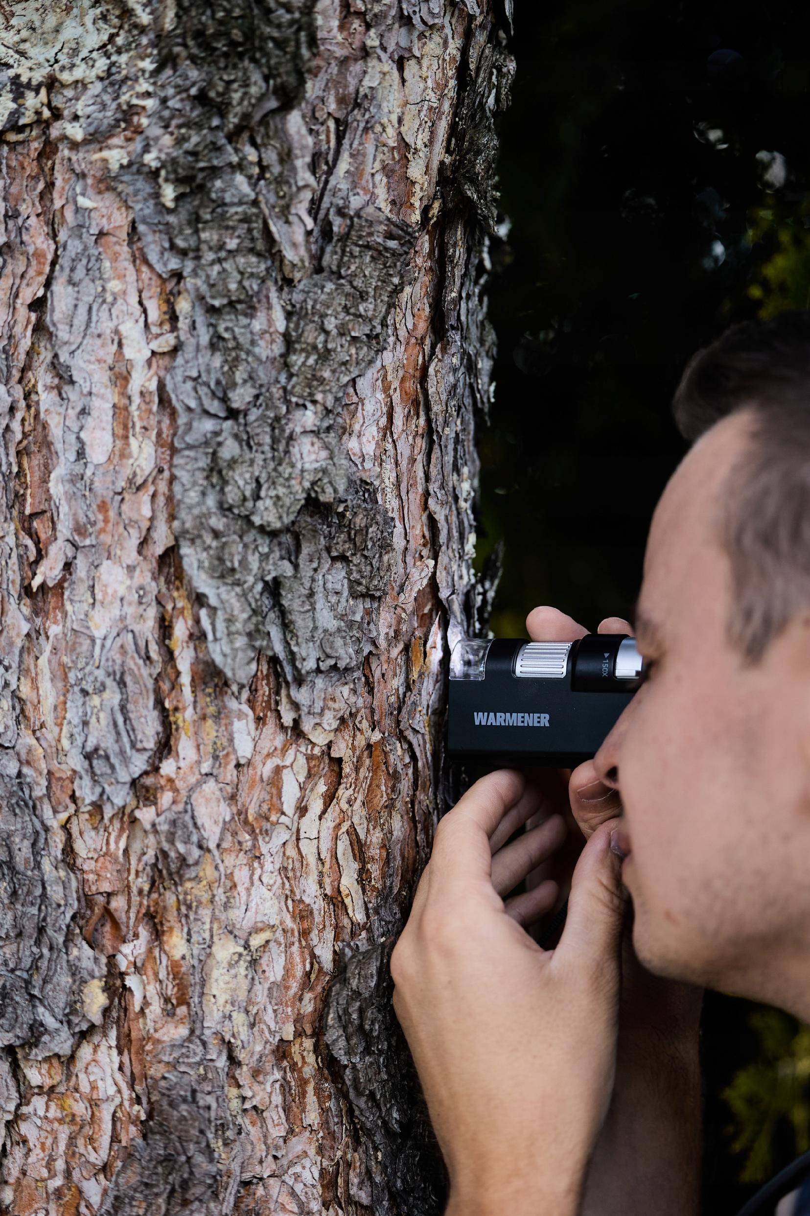 Mikroskop Warmener w użyciu z oświetleniem UV