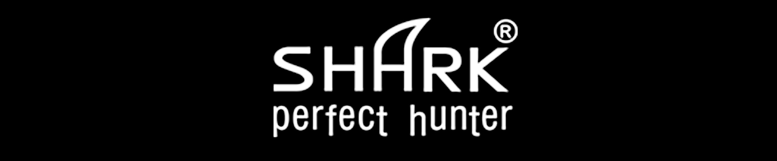 Spławik Przelotowy z BALSY SHARK Perfekt Hunter 6,0 g / 16,5 cm