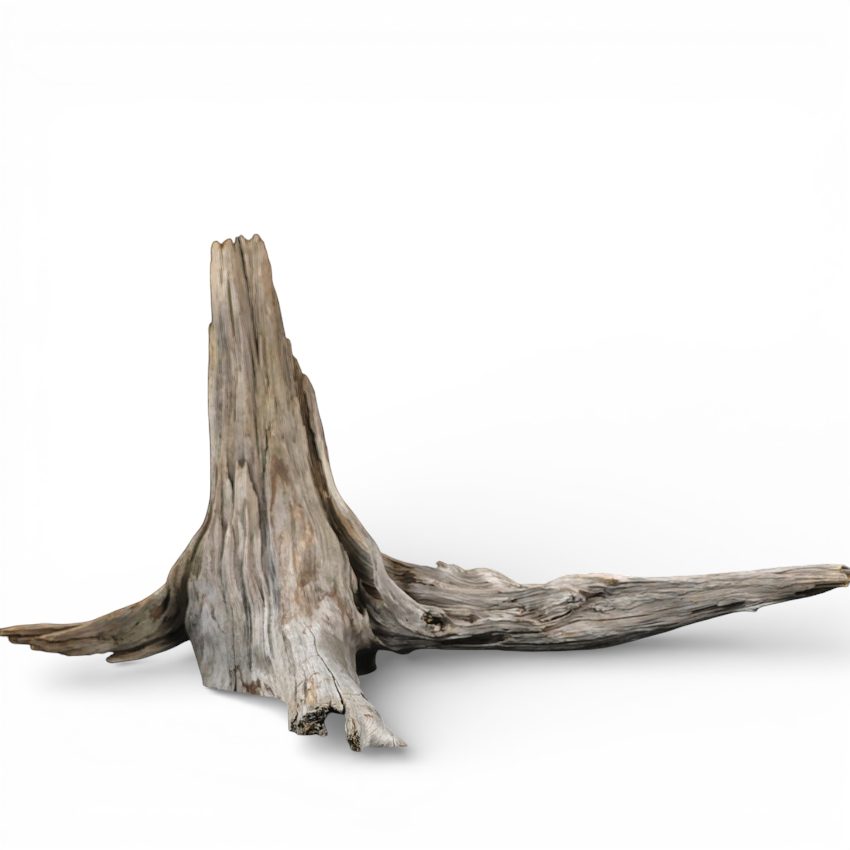 4d025c56e39fffe10b12ed8164fccdc6.png
