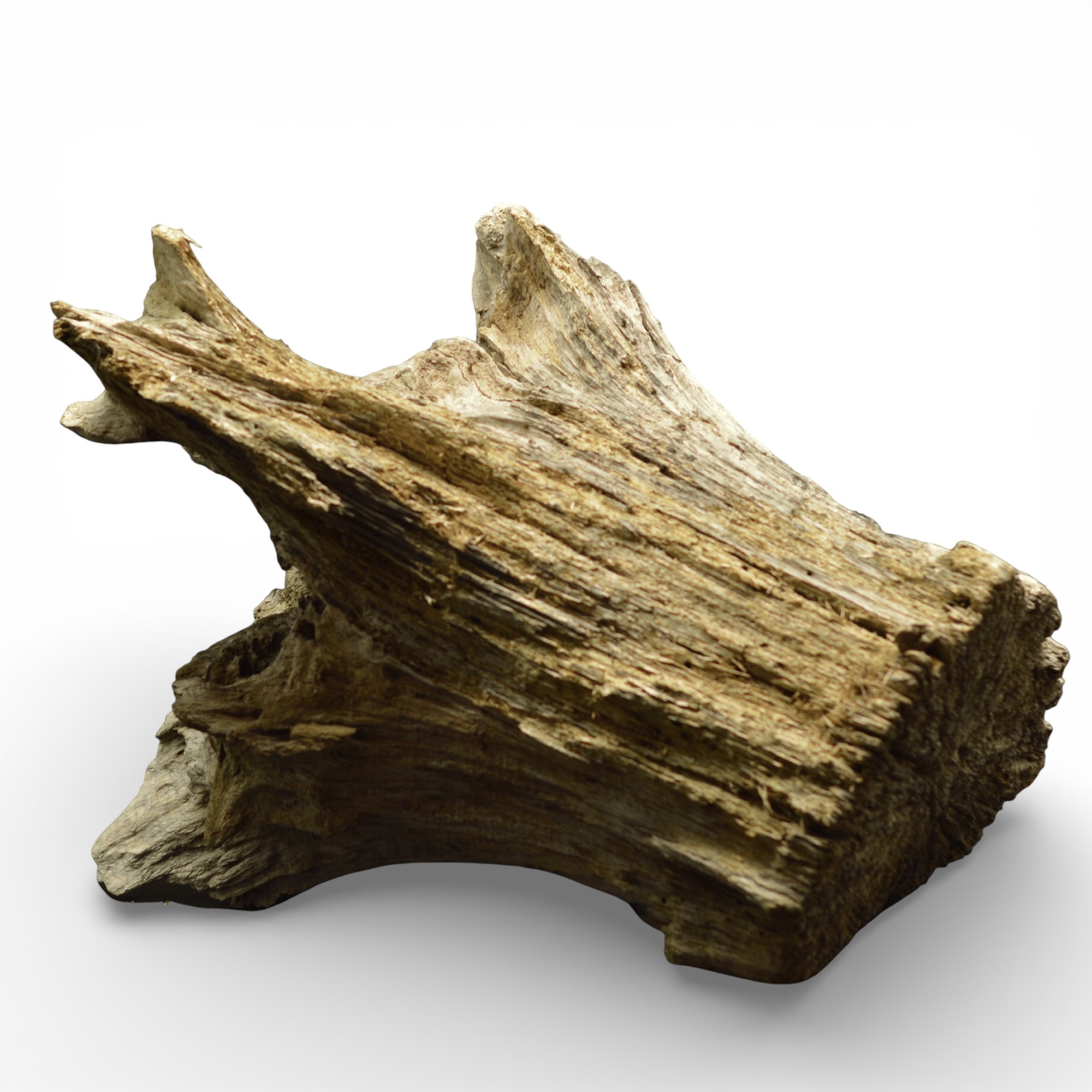 586fde604fc580bc8e2d4df7ca043aa8.jpg