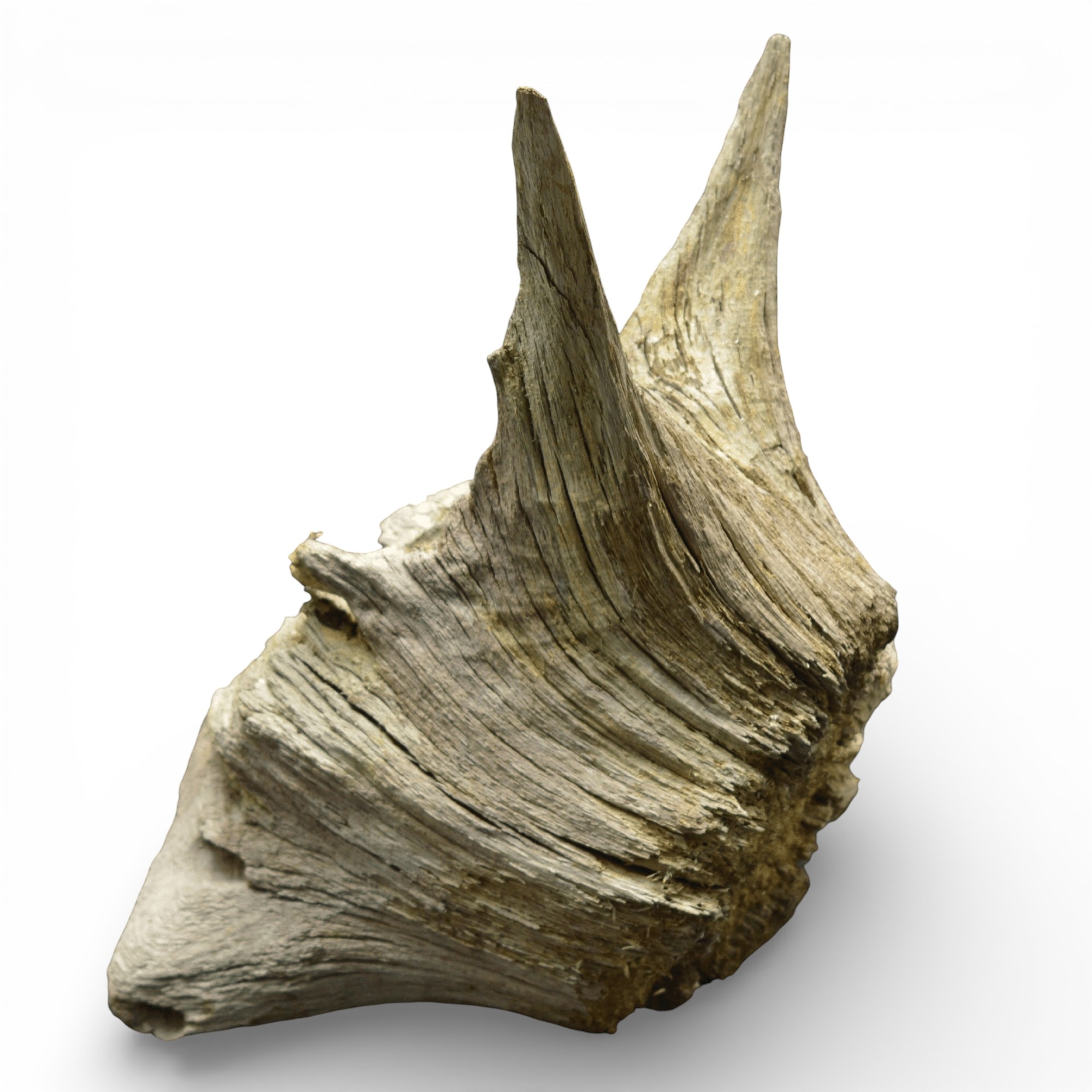 737bc7e3f7a5869a4b09f4bd5c011d39.jpg