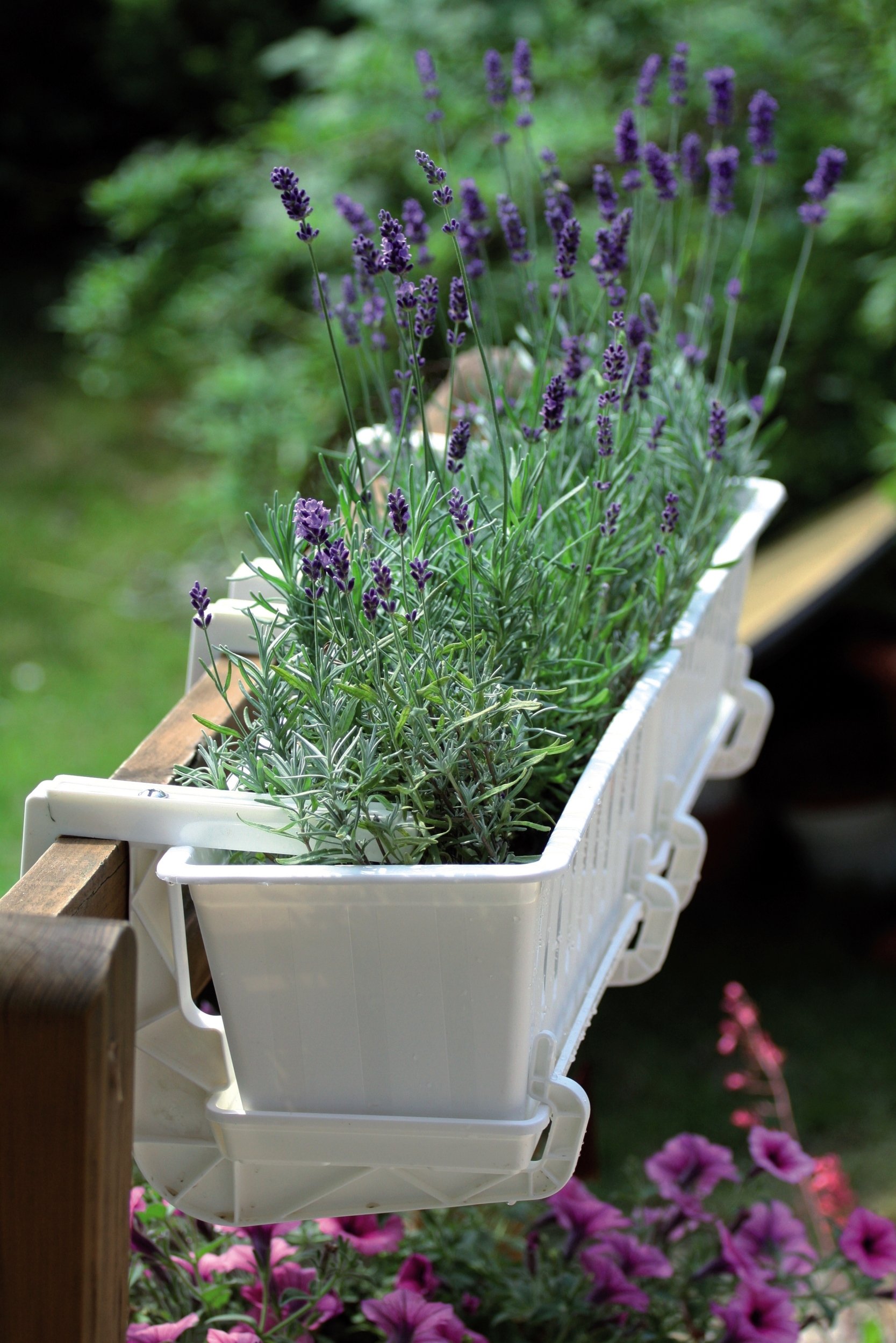 Uchwyt balkonowy HANGPLAST do doniczek Skrzynek