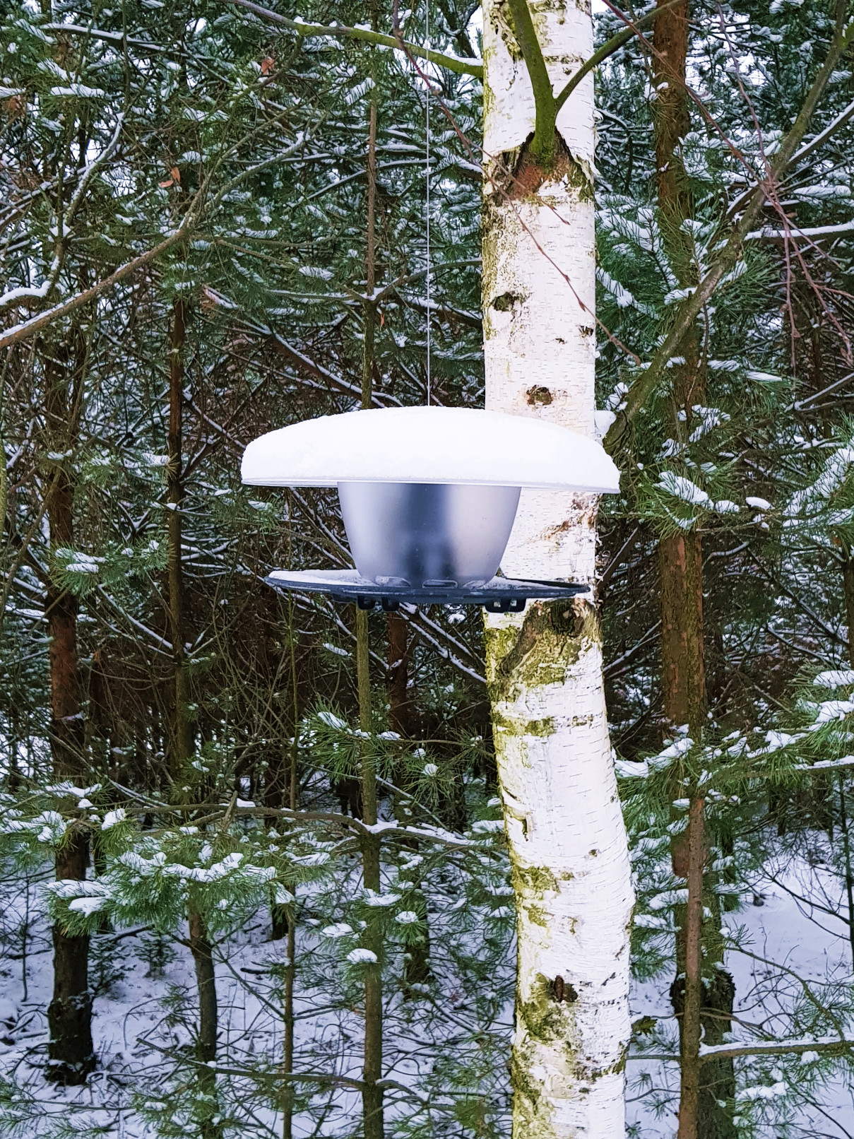Karmnik okrągły dla ptaków Birdyfeed Budka Domek na zimę