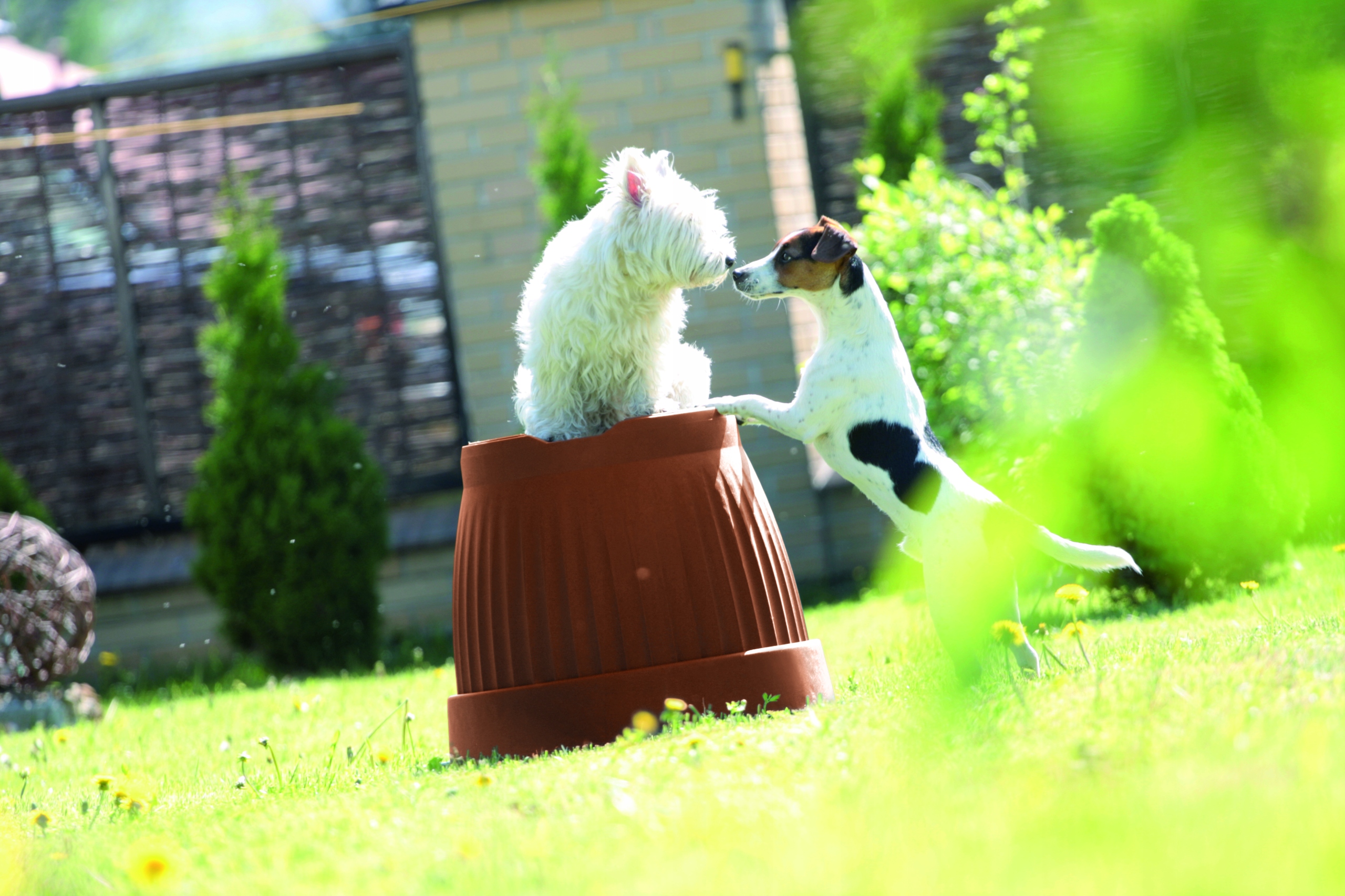 Doniczka klasyczna Terra DCE20 | Antracyt, Kształt Okrągły, Wymiary 20x15.5 cm, Kolor Antracyt, Prosperplast