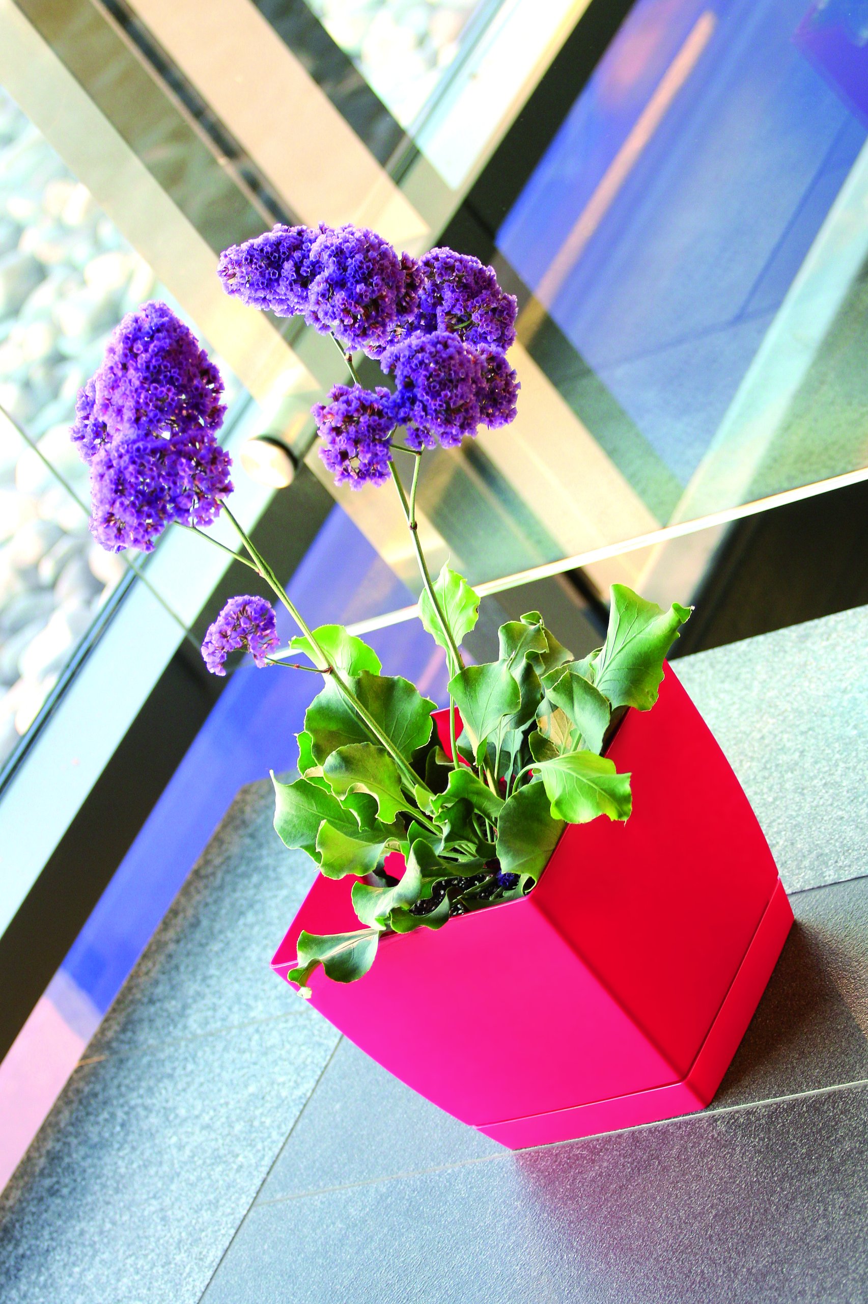 Doniczka COUBI DUKP100 z podstawką | Biały, Kształt Kwadratowy, Wymiary 10x10x7.5 cm, Kolor Biały, Prosperplast