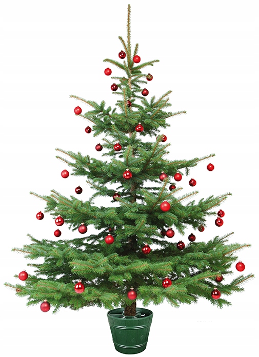 Stojak choinkowy Planet 1 | Zielony