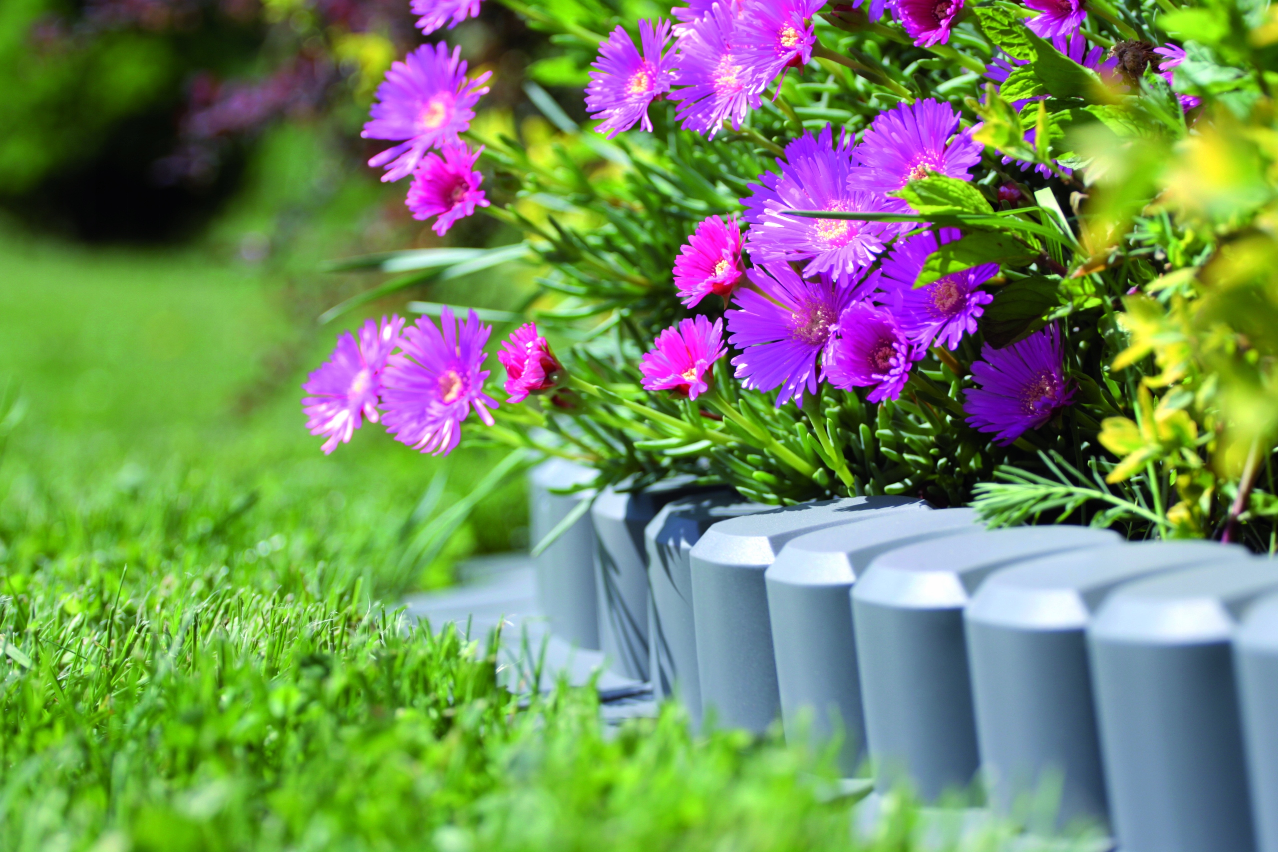 Palisada ogrodowa IPAL6 Obrzerze Krawężnik 3,2m