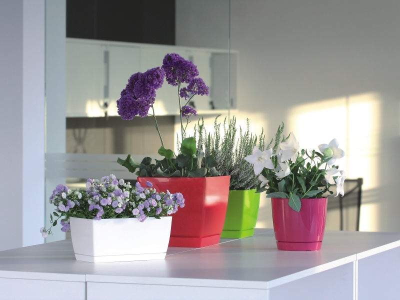 Doniczka COUBI DUKP100 z podstawką | Grafit, Kształt Kwadratowy, Wymiary 10x10x7.5 cm, Kolor Grafit, Prosperplast