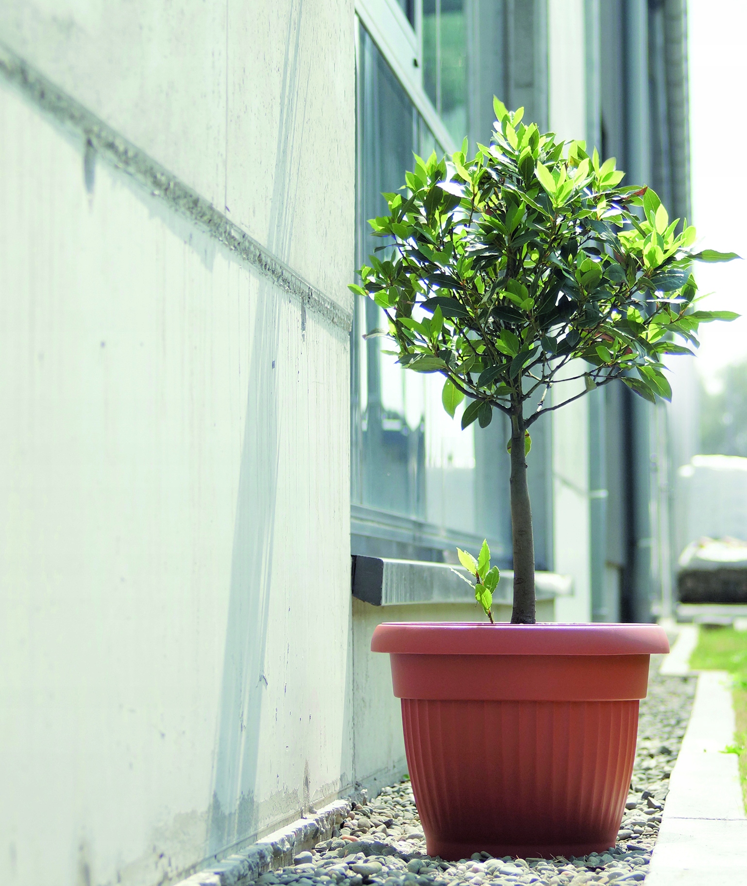 Doniczka klasyczna Terra DCE20 | Antracyt, Kształt Okrągły, Wymiary 20x15.5 cm, Kolor Antracyt, Prosperplast