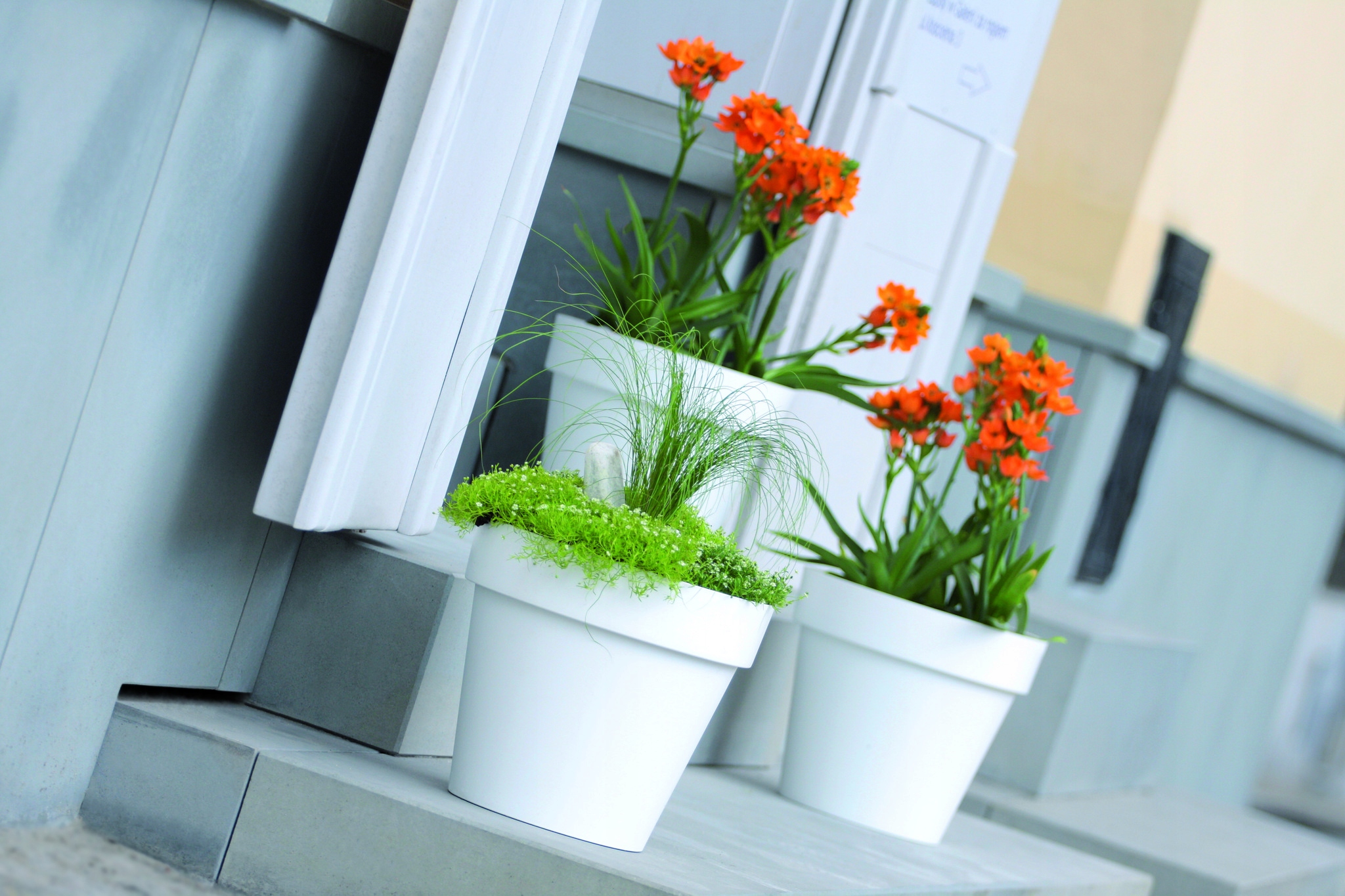 Doniczka okrągła Lofly DLOF160 z podstawką | Antracyt, Wymiary 15.80x14.4 cm, Prosperplast