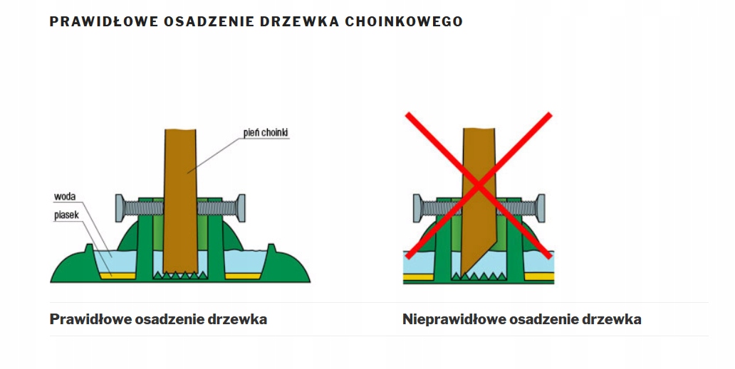 Stojak choinkowy Eko z odżywką Biopon