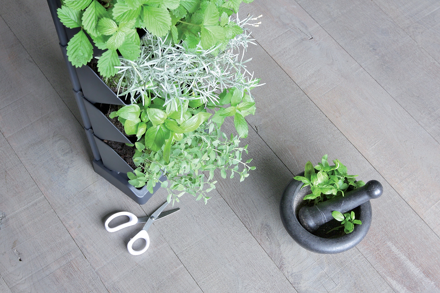 Ogród wertykalny wiszący MINI CASCADE IO1W200 | Antracyt, Wymiary 11.4x19.5x47.5 cm, Kolor Antracyt, Prosperplast