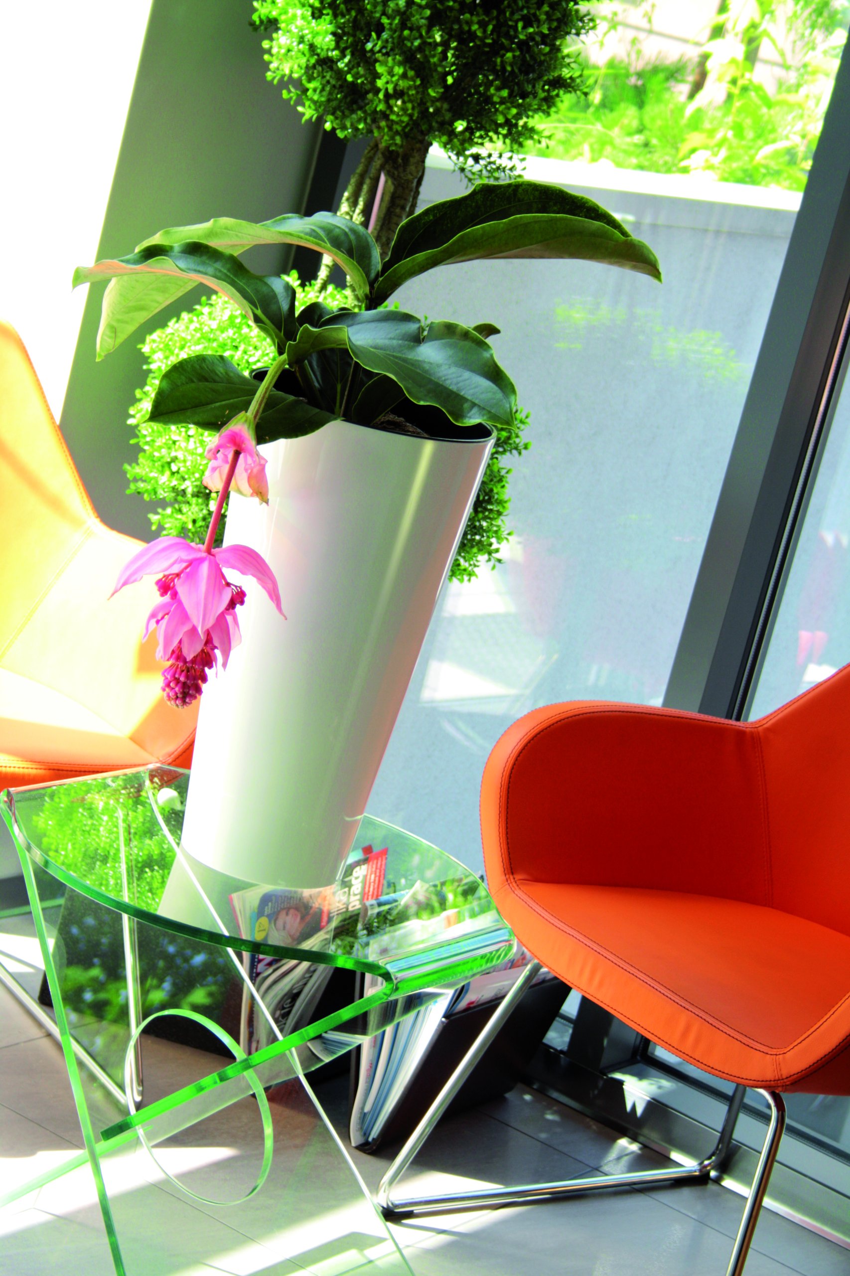 Doniczka z nawadnianiem Tubus shine DTUS200S | Biały, Wymiary 20x38.1 cm, Prosperplast