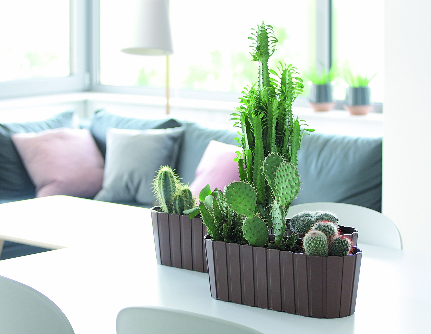 Doniczka podłużna Boardee Case DDEC600 | Biały, Kształt Prostokątny, Wymiary 14.4x58.7x13 cm, Kolor Biały, Prosperplast