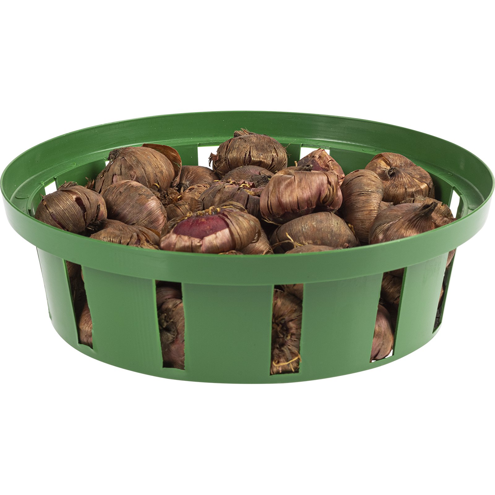 Koszyk do cebulek okrągły 18cm | Zieleń trawiasta