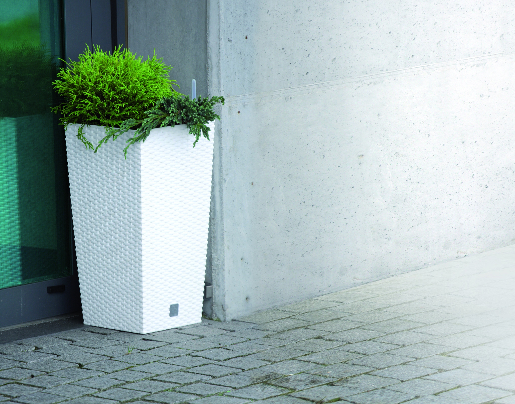 Donica Rattan DRTS325 z wkładem + platforma jezdna