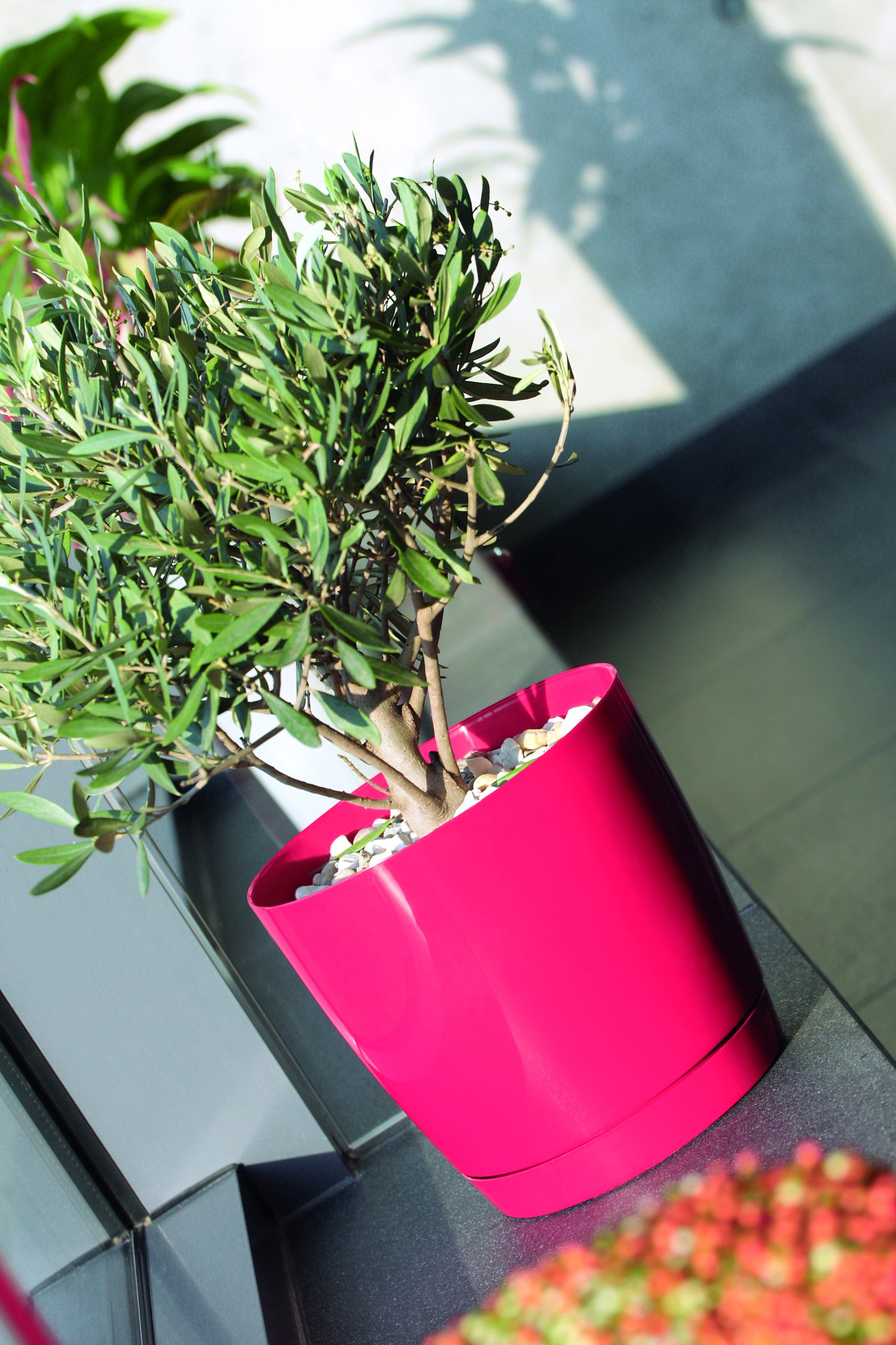 Doniczka COUBI DUOP120 z podstawką | Biały, Kształt Okrągły, Wymiary 12x11 cm, Kolor Biały, Prosperplast