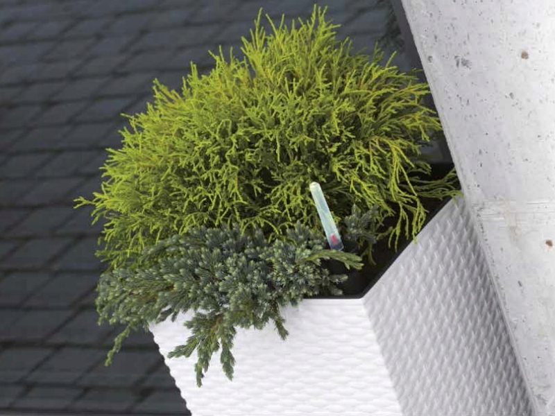 Doniczka RATO niska DRTS325L z wkładem | Umbra