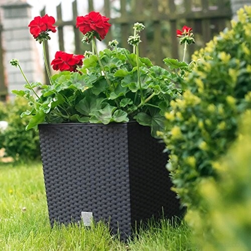 Doniczka RATO niska DRTS170L z wkładem | Umbra