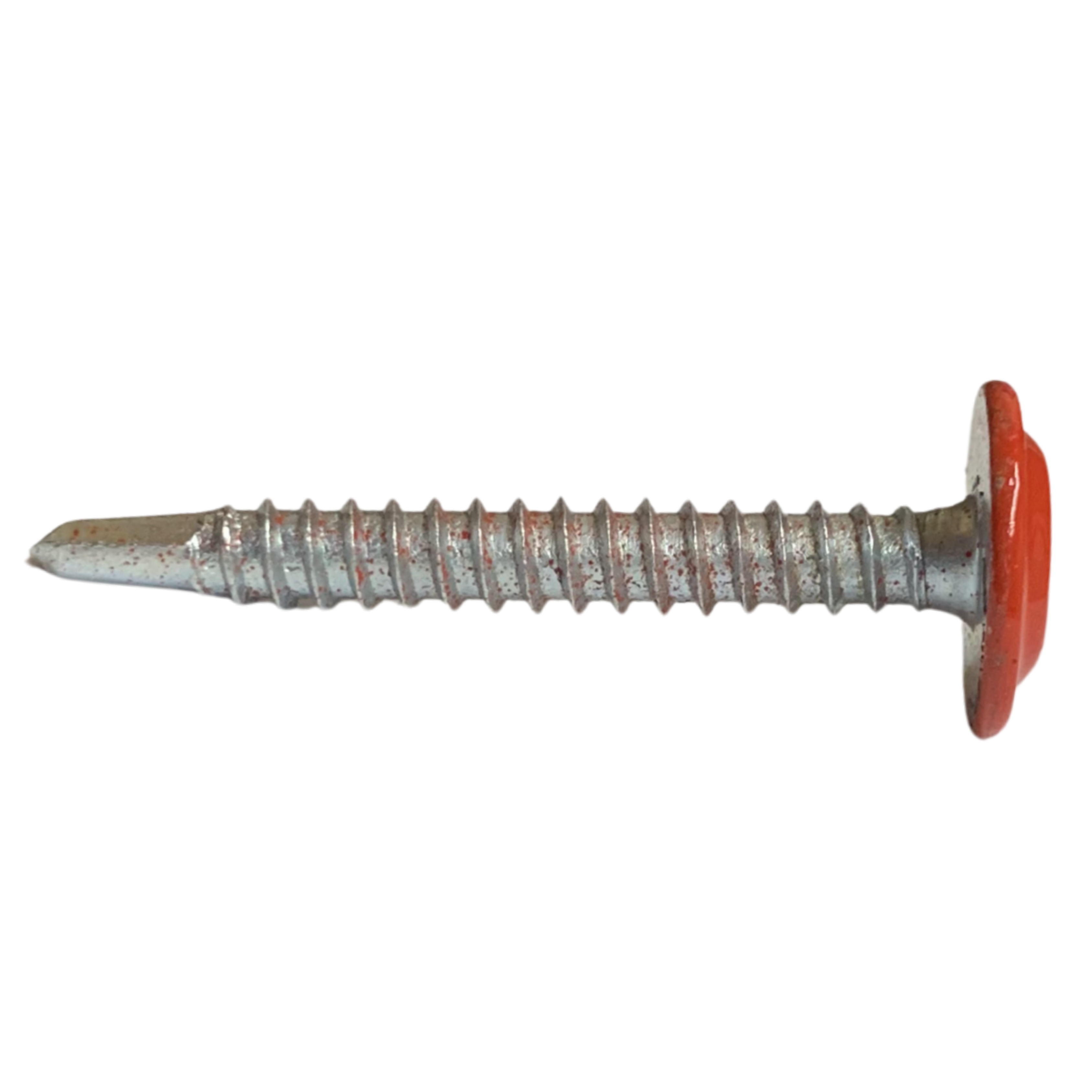 80b149edc306a24dc06bfe6a2aa4fa13.jpg