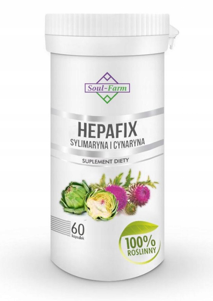 2X Hepafix Ostropest Karczoch sylimaryna 2x60 kaps