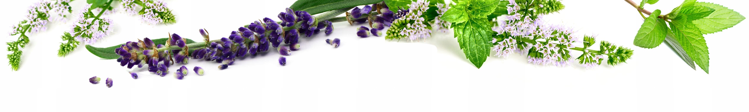 Głóg Herbapol Kraków owoc 50g