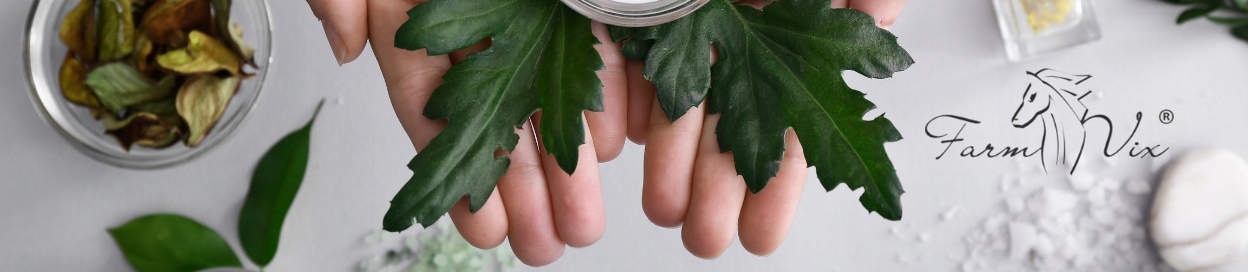 Krem z KONOPII 50ml FARMVIX