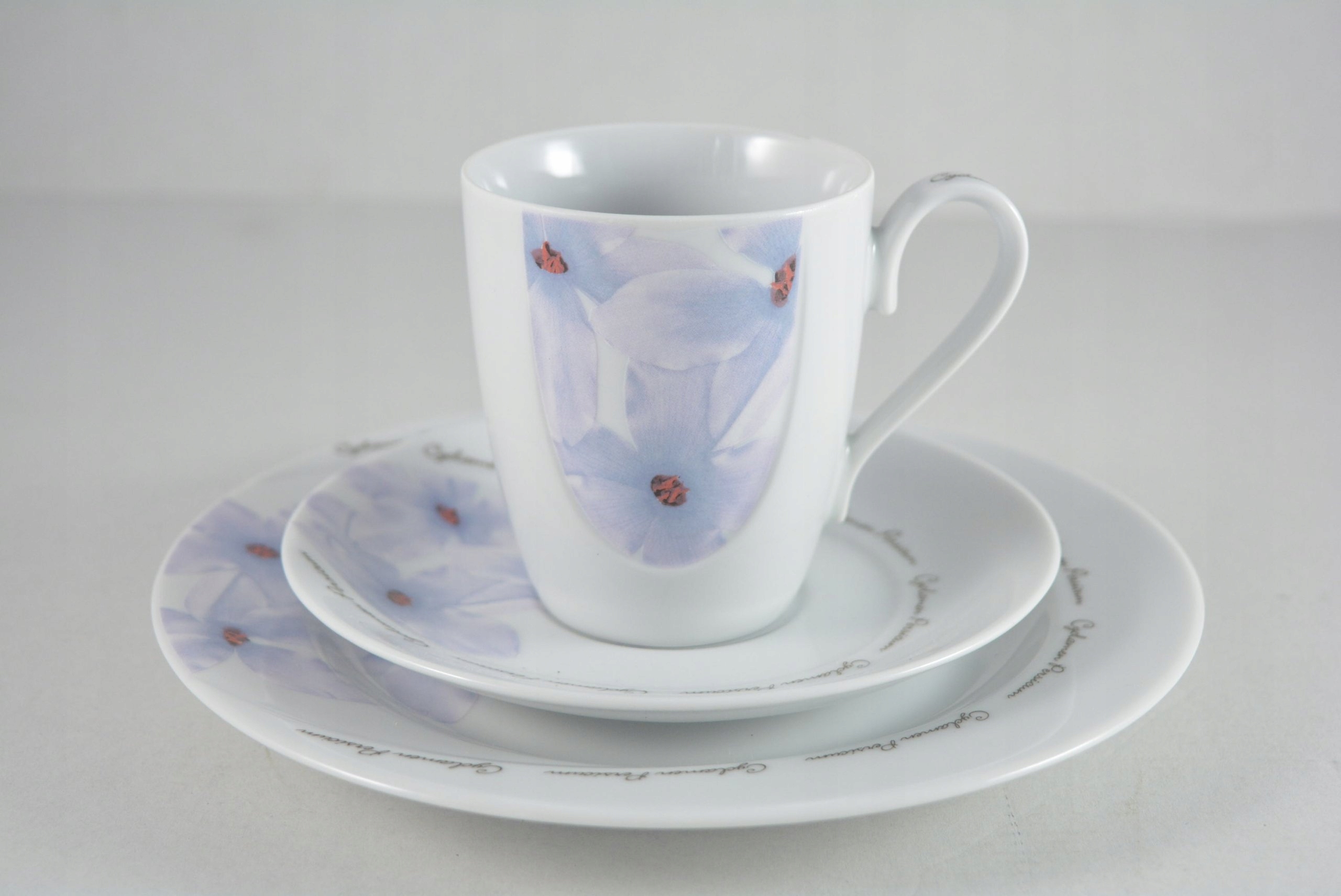 SERWIS KAWOWY ĆMIELÓW VEGA G048 12/39