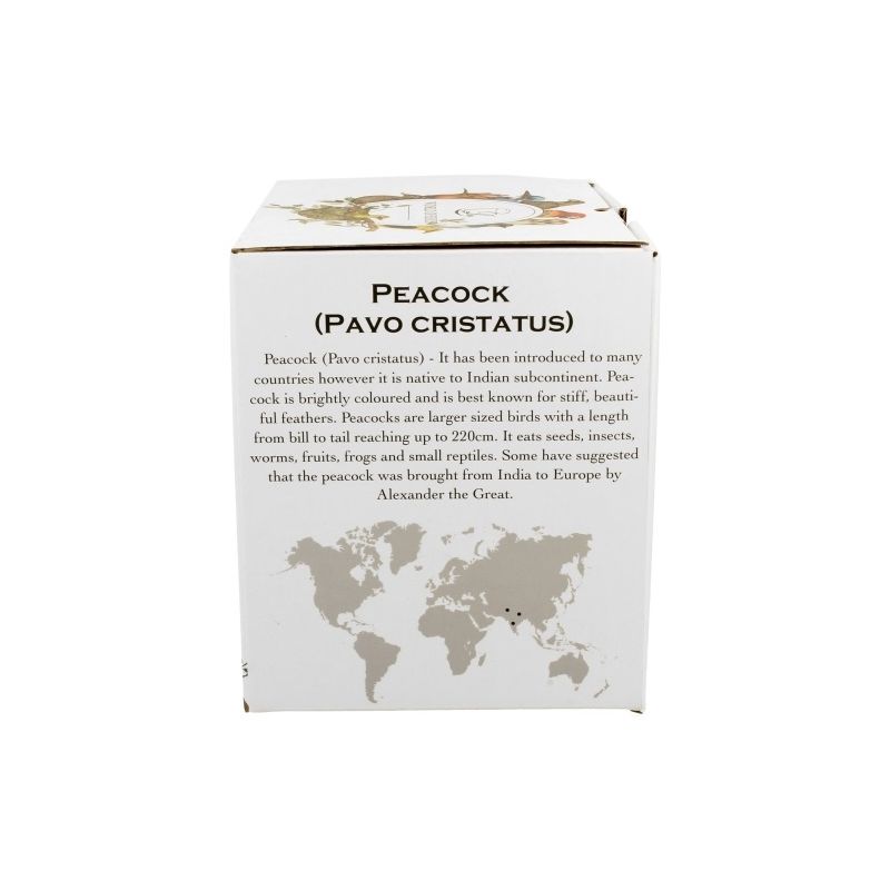 KUBEK Z ZAPARZACZEM POKRYWKĄ DO ZIÓŁ HERBATY DUO PAW NA PREZENT 400 ML
