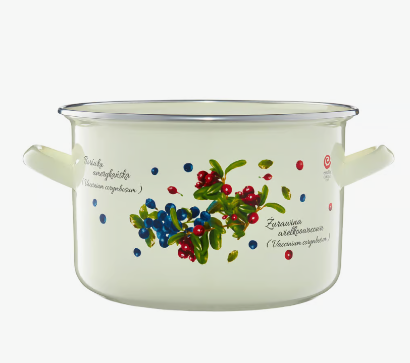 GARNEK EMALIOWANY Z POKRYWKĄ SZKLANĄ OLKUSZ BORÓWKA ŻURAWINA 5 L 22 CM