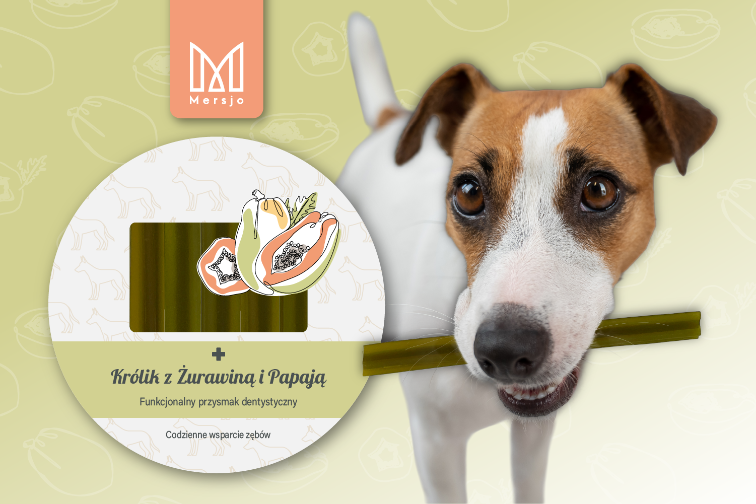 Gryzaki Dental Sticks z psem Jack Russell