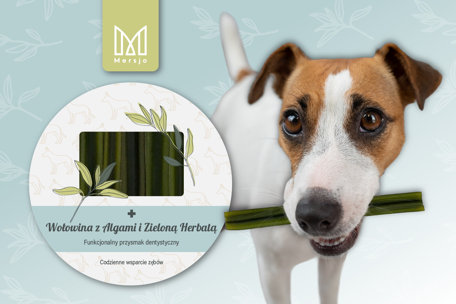 Gryzaki Dental Sticks z psem Jack Russell - Wołowina