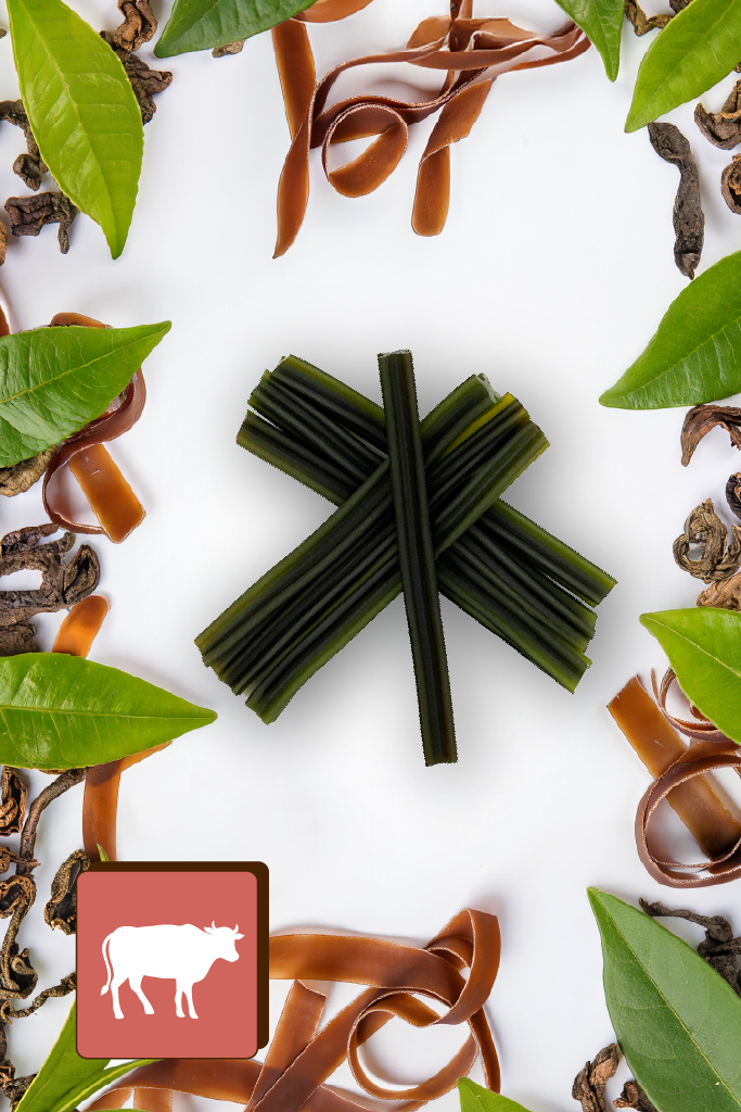 Algi, Zielona Herbata i Wołowina