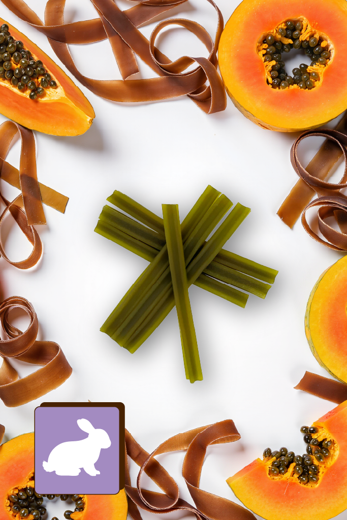 Algi, papaja i gryzaki