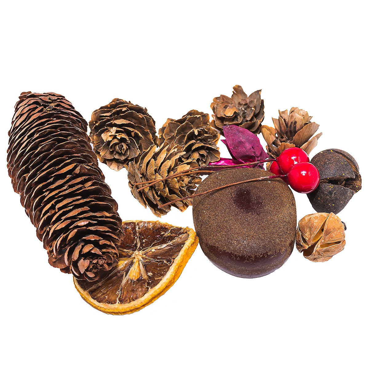 SUSZ DEKORACYJNY 30-40G SD3 BREWIS HIT!!!