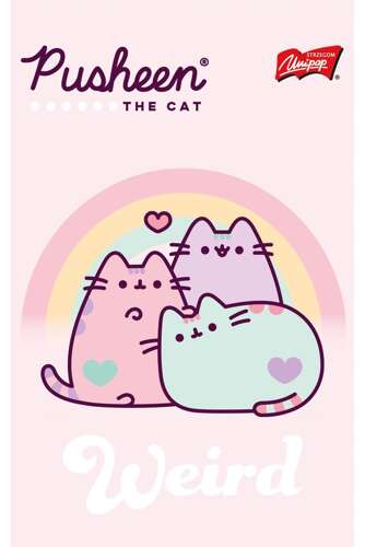 PUSHEEN ZESZYT NOTES NOTATNIK SZKOLNY A6 50K LAMINOWANY MAJEWSKI KOTEK