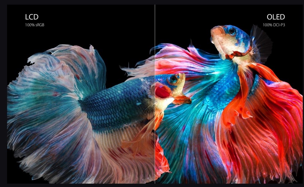 26c89c53c610dc67b1588b68e6f6b639.jpg