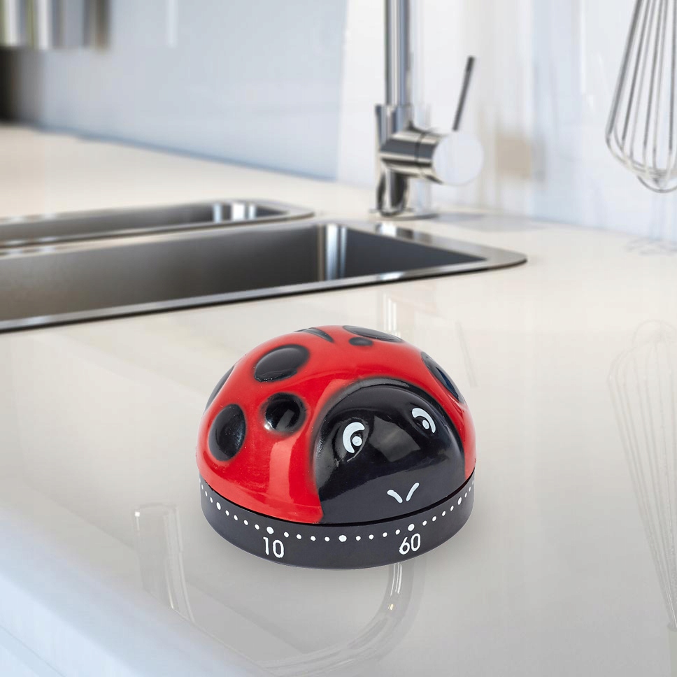 MINUTNIK KUCHENNY CZASOMIERZ TIMER DO ODMIERZANIA CZASU GOTOWANIA JAJEK