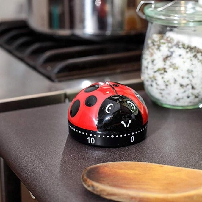 MINUTNIK KUCHENNY CZASOMIERZ TIMER DO ODMIERZANIA CZASU GOTOWANIA JAJEK