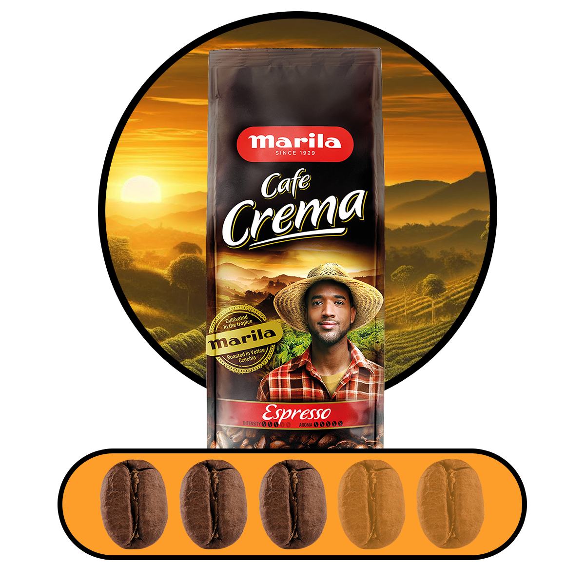6cee6c5bcb0a3caff2dea1681866dcab.png