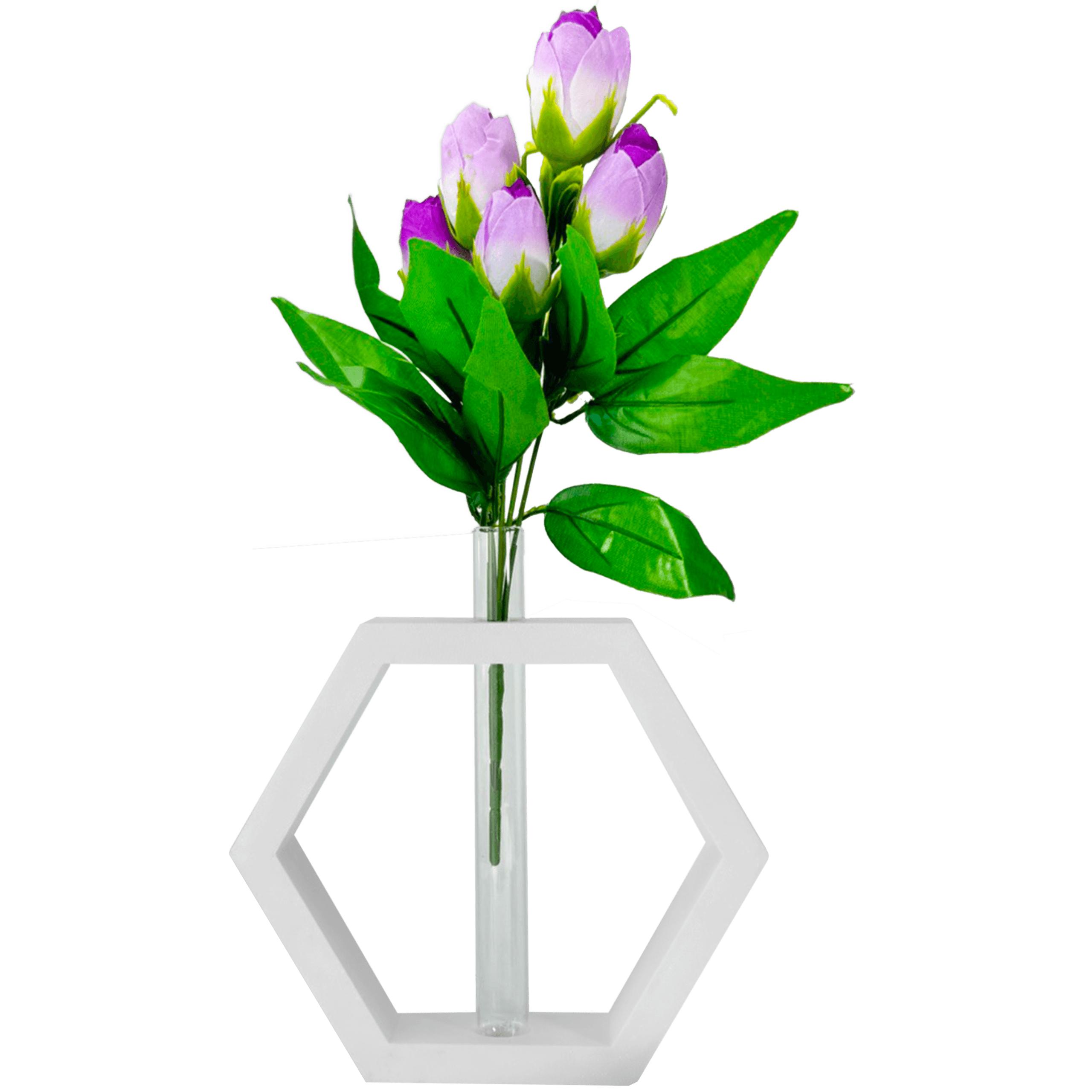 05b0186c9b2186e271743163675d43e0.png