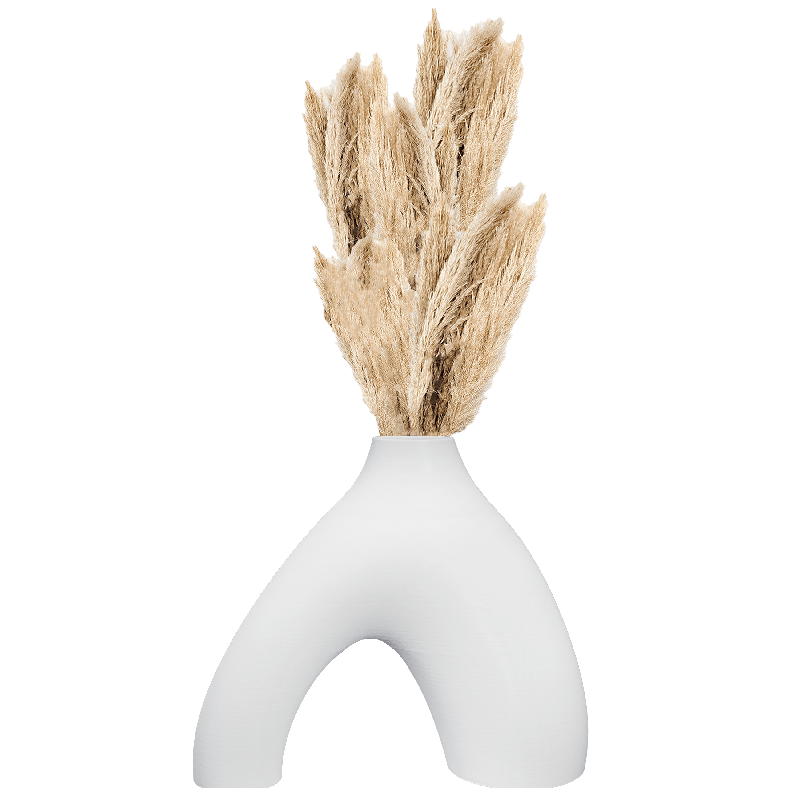 f1823afe1bbeb1fe5a88f21942b2aeb5.png