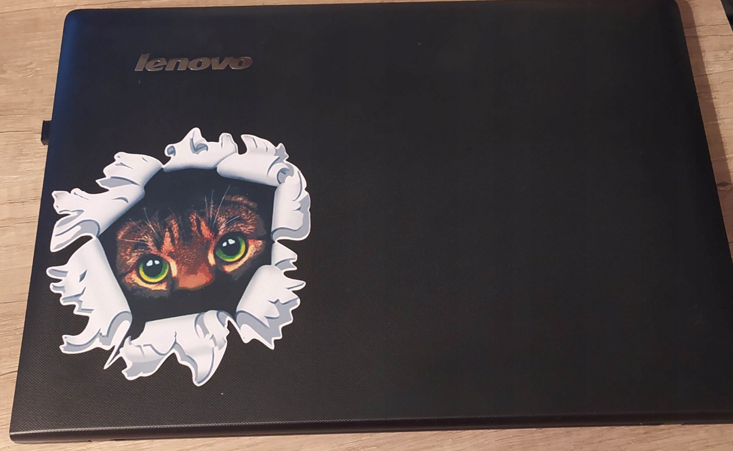 Wlepa Kocie Oczy Koteczek Słodziaczek Kicia Dziura