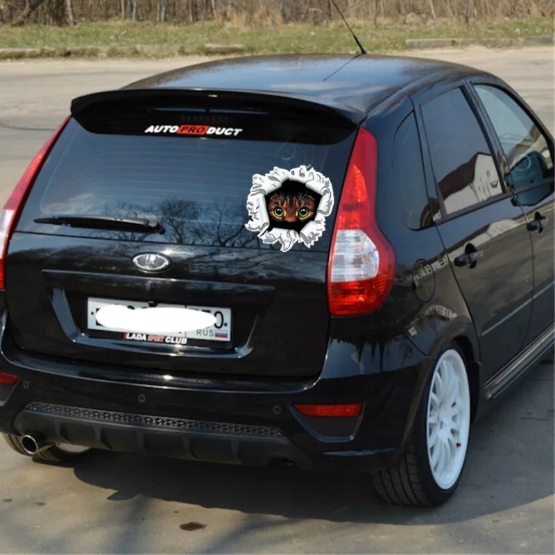 Wlepa Kocie Oczy Koteczek Słodziaczek Kicia Dziura