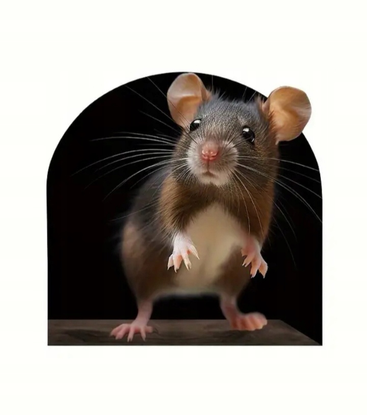 Naklejka realistyczna 3D Naścienna Myszka w Ścianie Mysia Dziura The Mouse
