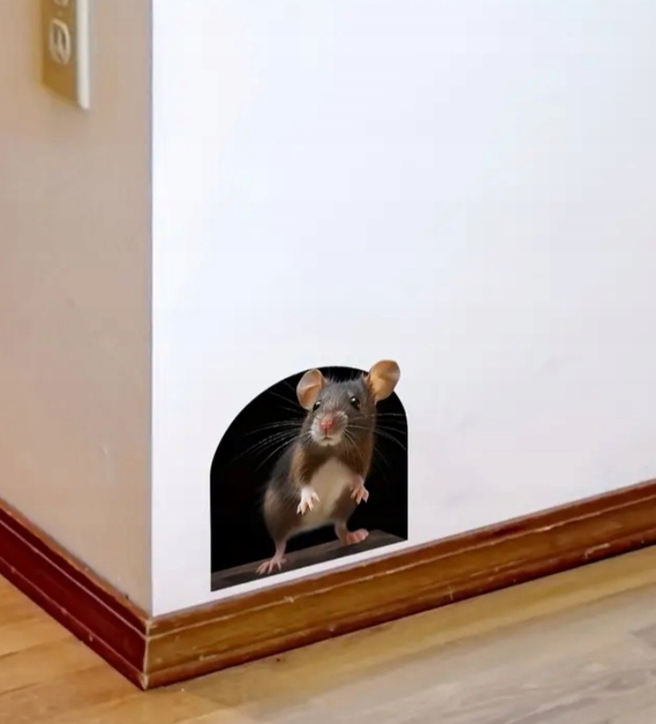 Naklejka realistyczna 3D Naścienna Myszka w Ścianie Mysia Dziura The Mouse